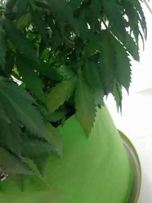 20230919_213123.jpg 20230919_213123.jpg