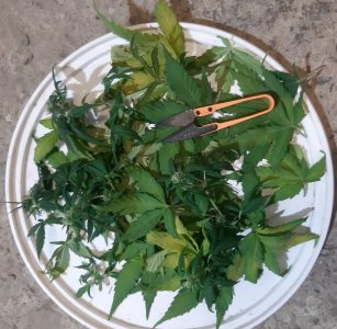 20230919_213107.jpg 20230919_213107.jpg