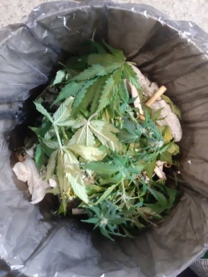 20230919_213055.jpg 20230919_213055.jpg