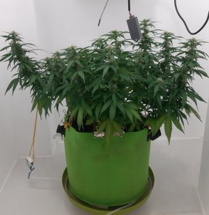 20230919_213402.jpg 20230919_213402.jpg