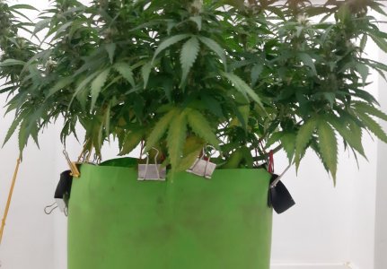 20230919_213257.jpg 20230919_213257.jpg