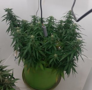 20230919_213534.jpg 20230919_213534.jpg