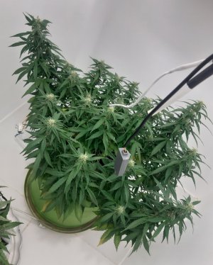 20230919_213556.jpg 20230919_213556.jpg