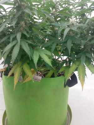 20230919_213520.jpg 20230919_213520.jpg