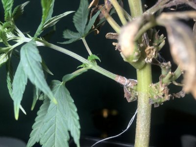 IMG_3846.jpeg IMG_3846.jpeg