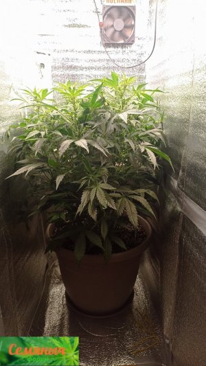 Picsart_23-09-23_09-01-16-220.jpg Picsart_23-09-23_09-01-16-220.jpg