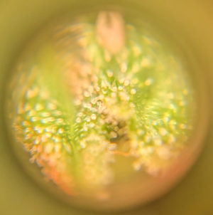 1695622631395.png 1695622631395.png