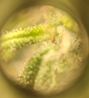 1695622650175.png 1695622650175.png