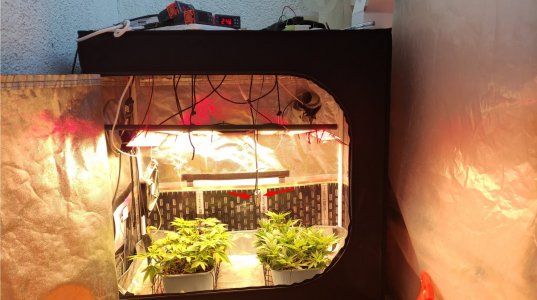 Screenshot_1.jpg Screenshot_1.jpg