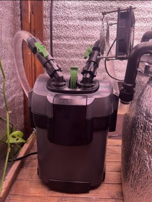 IMG_2902.jpeg IMG_2902.jpeg