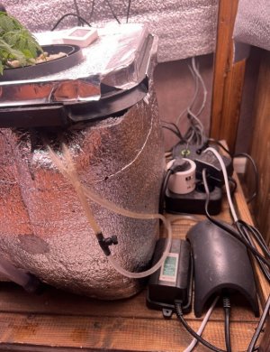 IMG_2909.jpeg IMG_2909.jpeg