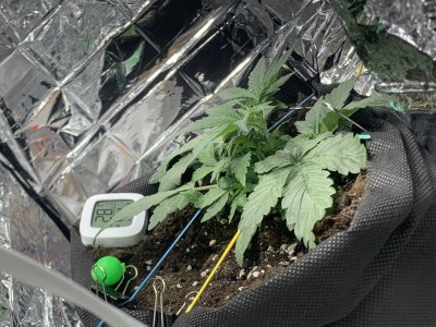 imgonline-com-ua-dexifL96Cu9iZHeZ7.jpg imgonline-com-ua-dexifL96Cu9iZHeZ7.jpg