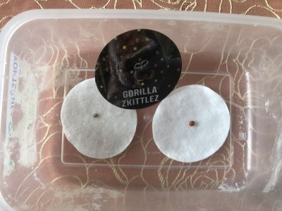 IMG_4403.jpeg IMG_4403.jpeg