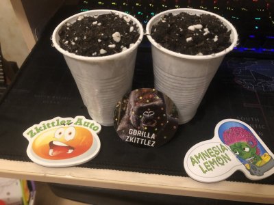 IMG_4421.jpeg IMG_4421.jpeg