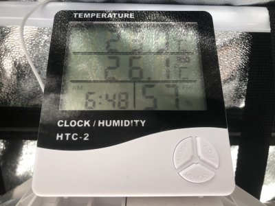 IMG_4429.jpeg IMG_4429.jpeg