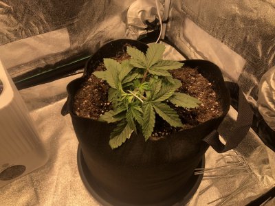 IMG_4471.jpeg IMG_4471.jpeg