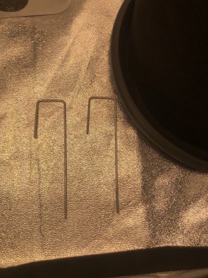 IMG_4473.jpeg IMG_4473.jpeg