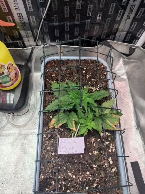 IMG_20230823_081553.jpg IMG_20230823_081553.jpg