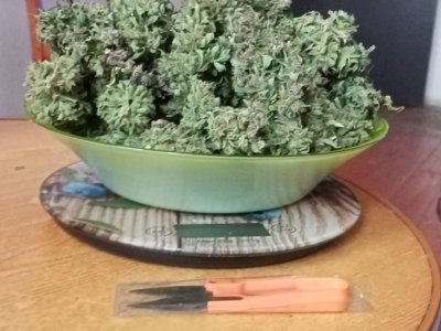 IMG20231006135135.jpg IMG20231006135135.jpg