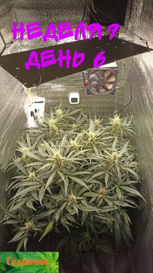 Picsart_23-10-07_19-59-40-173.jpg Picsart_23-10-07_19-59-40-173.jpg