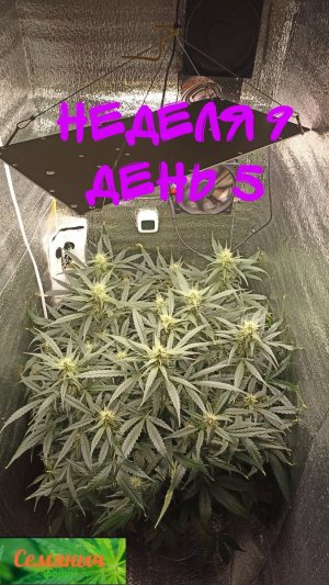 Picsart_23-10-06_09-46-41-563.jpg Picsart_23-10-06_09-46-41-563.jpg