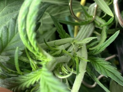 imgonline-com-ua-dexifswV67Ykql6OE.jpg imgonline-com-ua-dexifswV67Ykql6OE.jpg