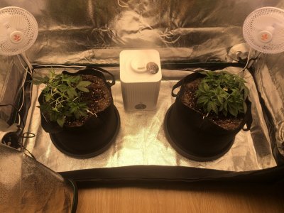 IMG_4481.jpeg IMG_4481.jpeg