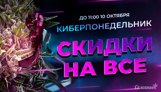 IMG_1239.jpeg IMG_1239.jpeg