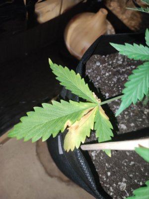 план2.jpg план2.jpg