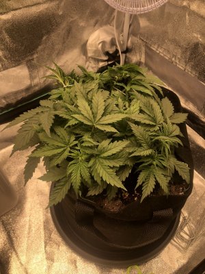 IMG_4493.jpeg IMG_4493.jpeg