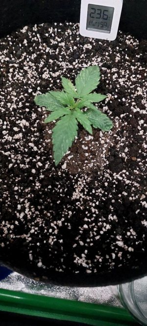 photo_2023-10-14_14-03-25.jpg photo_2023-10-14_14-03-25.jpg