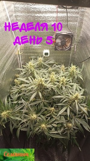 Picsart_23-10-13_08-30-06-616.jpg Picsart_23-10-13_08-30-06-616.jpg