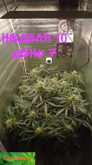 Picsart_23-10-15_07-00-11-836.jpg Picsart_23-10-15_07-00-11-836.jpg