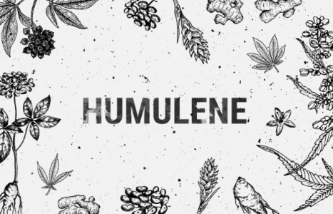 1697475671568.png 1697475671568.png