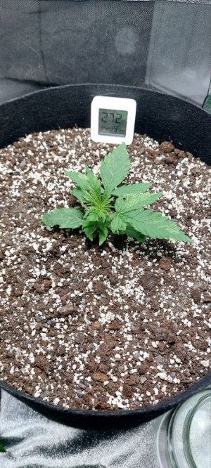 photo_2023-10-17_10-56-27.jpg photo_2023-10-17_10-56-27.jpg