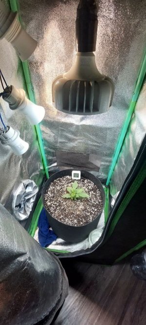 photo_2023-10-17_13-45-51.jpg photo_2023-10-17_13-45-51.jpg