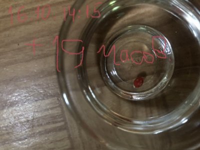 IMG_4708.jpeg IMG_4708.jpeg