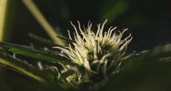 1697711339712.png 1697711339712.png