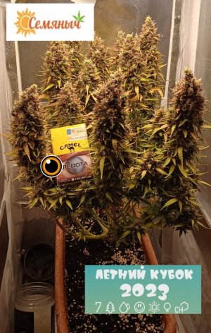 89 дн_лепота.jpg