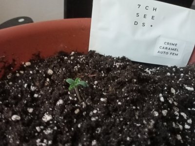 IMG20231021150144.jpg IMG20231021150144.jpg