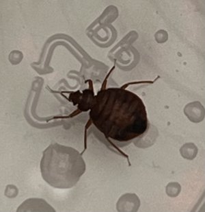 IMG_5959.jpeg IMG_5959.jpeg