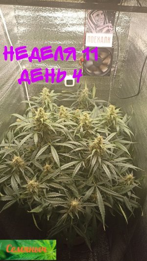 Picsart_23-10-19_07-46-23-969.jpg Picsart_23-10-19_07-46-23-969.jpg