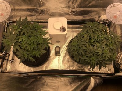 IMG_4539.jpeg IMG_4539.jpeg