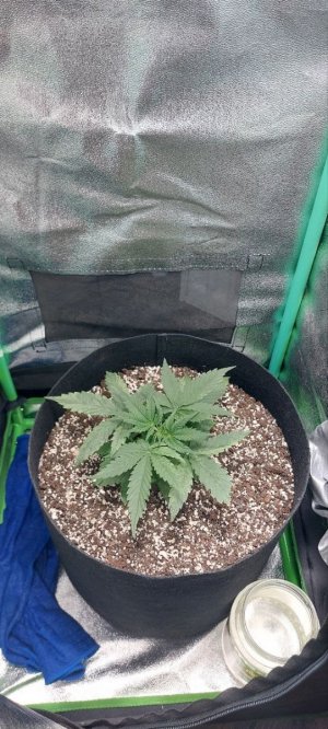 2023.10.24 - 20 день(3).jpg 2023.10.24 - 20 день(3).jpg