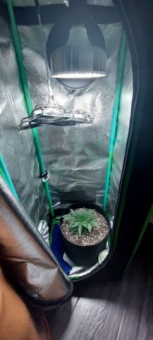 2023.10.24 - 20 день(1).jpg 2023.10.24 - 20 день(1).jpg