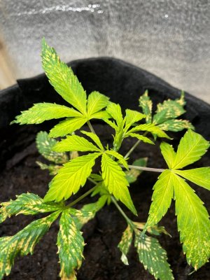 photo_2_2023-10-24_22-57-15.jpg photo_2_2023-10-24_22-57-15.jpg