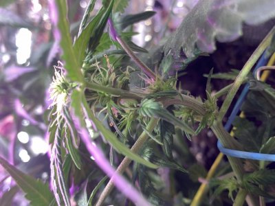 imgonline-com-ua-dexifQaPyXBThl1hh.jpg imgonline-com-ua-dexifQaPyXBThl1hh.jpg