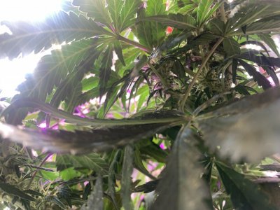 imgonline-com-ua-dexifp8C5sX8mcAng.jpg imgonline-com-ua-dexifp8C5sX8mcAng.jpg