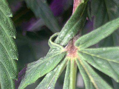 imgonline-com-ua-dexifLEJyRoXmKWdF.jpg imgonline-com-ua-dexifLEJyRoXmKWdF.jpg