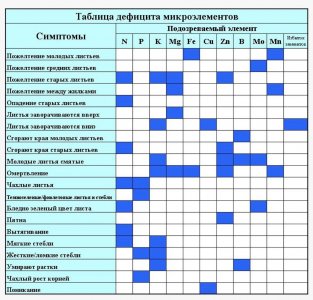 imgonline-com-ua-dexifbvCQB7duLmML.jpg imgonline-com-ua-dexifbvCQB7duLmML.jpg